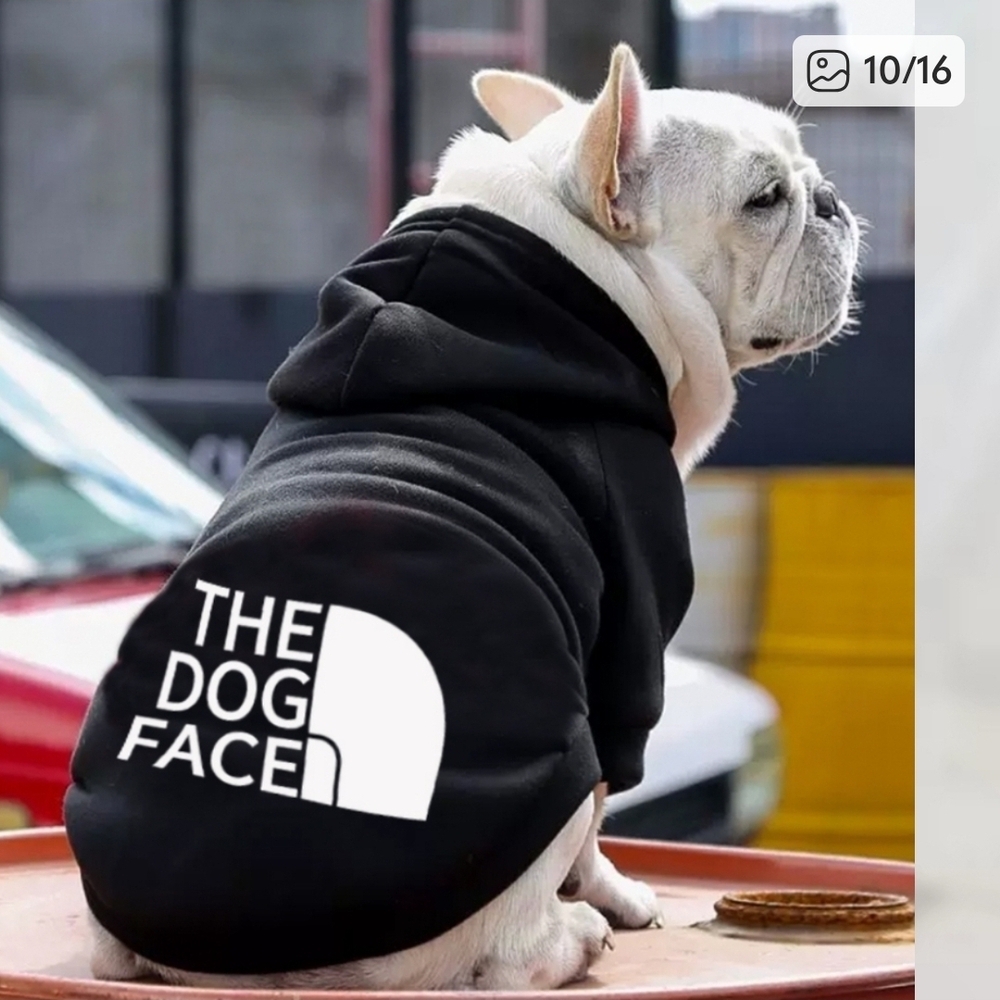 Black Dog Hoodie